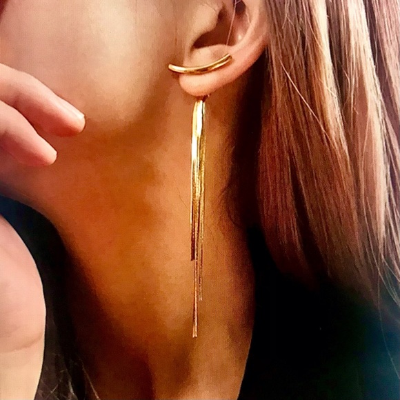 ⚡️T-Bar Drop Earrings from Zara⚡️ - Picture 2 of 6